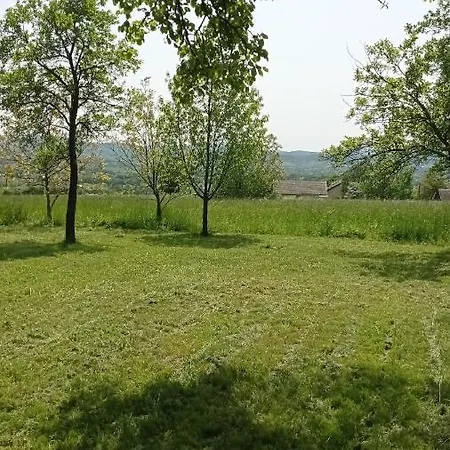 Oaza Milosci